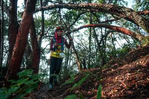 BIB: 
                            <button type="button" onclick="openModal(26344271)" class="btn btn-primary btn-sm float-right btn-popup" data-toggle="modal" data-target=".modal-high-quality">
                        <i class="fas fa-shopping-cart"></i> Add to Cart
                    </button>
                                            <button type="button" onclick="isThisMe(26344271, true)" class="btn btn-success btn-sm float-right btn-popup btn-isme hidden" data-toggle="tooltip" data-placement="bottom" title="นี่คือรูปของคุณใช่ไหม คลิกที่นี่เพื่อเอาเข้าอัลบั้ม">
                        <i class="fas fa-plus"></i> Add to album
                    </button>
                    <button type="button" onclick="isThisMe(26344271, false)" class="btn btn-warning btn-sm float-right btn-popup btn-isnotme hidden">
                        <i class="fas fa-ban"></i> Remove from album
                    </button>